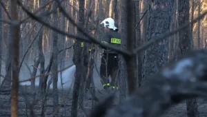 Strażacy gaszą pożar