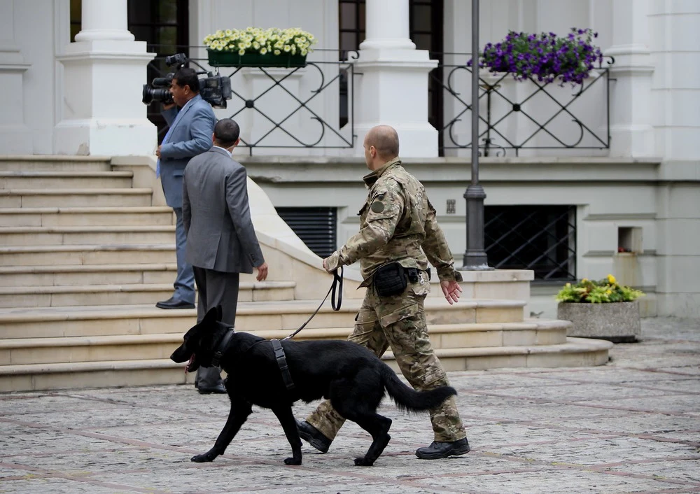 Prezydent elekt Andrzej Duda przyjmuje zagranicznych gości