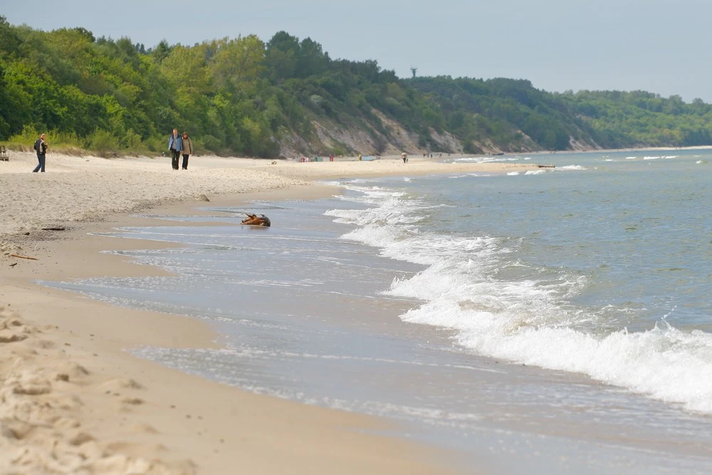 Plaża we Władysławowie jest pięknie położona, otacza ją sosnowy las, a brzeg na całej długości jest bardzo różnorodny