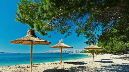 Mieszkańców Chorwacji, jak i przybyłych turystów dotyka gryzący problem w postaci... komarów. 