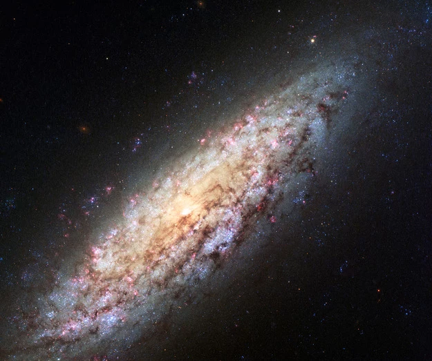 Galaktyka NGC 6503.