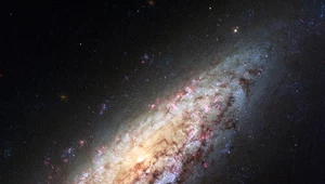 Galaktyka NGC 6503.