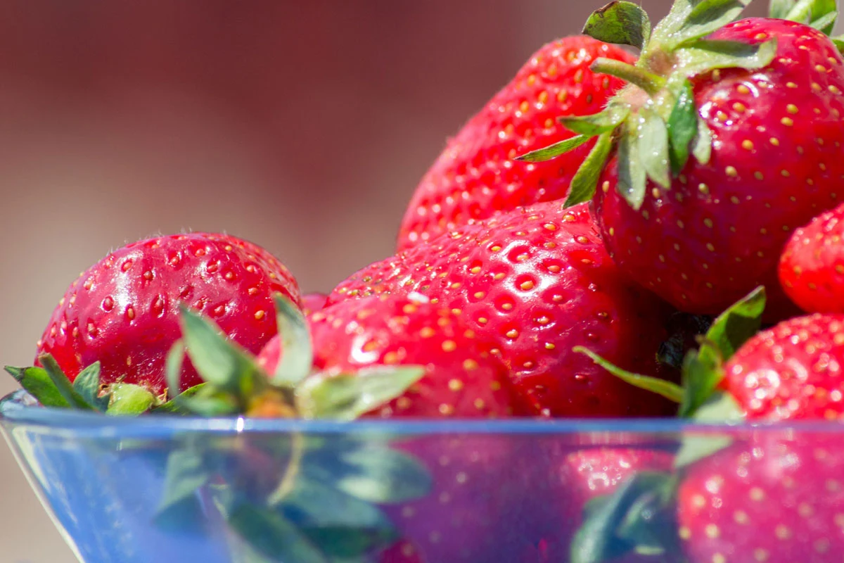 Mrożąc truskawki nie odcinajmy szypułek Mrożąc truskawki nie odcinajmy szypułek