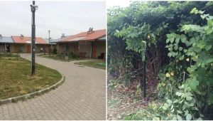 Po lewej: osiedle, na którym mieszkał 12-latek. Po prawej: zarośla, w których znaleziono ciało