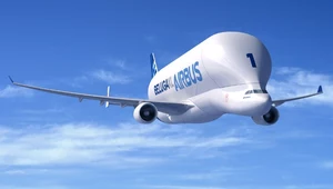 Beluga XL - wizualizacja