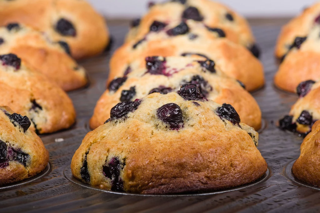 Muffiny z jagodami Muffiny z jagodami