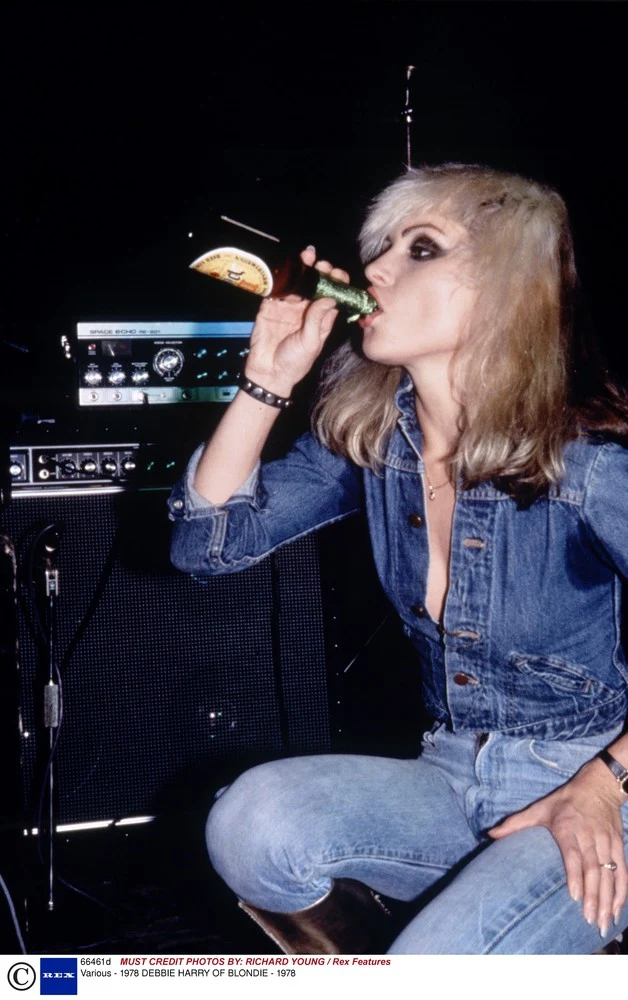 Grupa powstała z inicjatywy Debbie Harry i gitarzysty Chrisa Steina. Muzycy byłi parą także w życiu prywatnym Grupa powstała z inicjatywy Debbie Harry i gitarzysty Chrisa Steina. Muzycy byłi parą także w życiu prywatnym