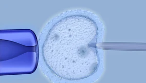 Londyński Instytut Cricka jako pierwszy poza Chinami podejmie legalnie badania nad inżynierią genetyczną człowieka (zdjęcie ilustracyjne)