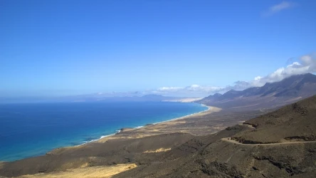 Rekin zaatakował na Fuerteventurze
