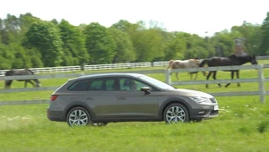 Seat Leon X-Perience 2.0 TDI 184 4Drive DSG – test