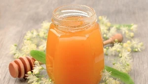 Miód z lipy
