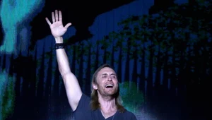 David Guetta będzie miał kłopoty z powodu konia?