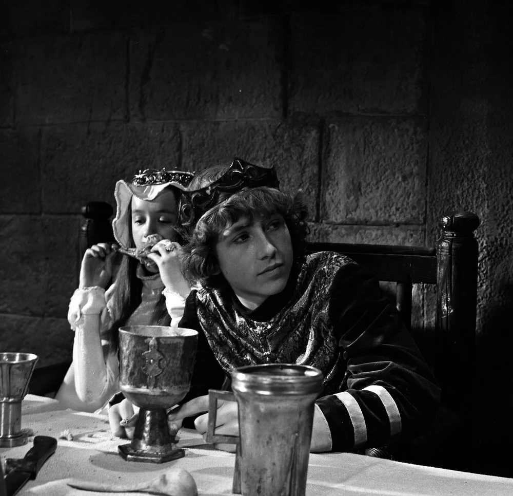 Dziennikarz telewizyjny Maciej Orłoś 16 lipca 2015 kończy 55 lat. Nie wszyscy wiedzą, że podobnie jak inna legenda srebrnego ekranu - Karol Strasburger, przygodę z show-biznesem rozpoczynał od kariery aktora.

Po raz pierwszy na ekranie zadebiutował jako 15-latek w filmie "Kazimierz Wielki" (1975) Czesława i Ewy Petelskich. Maciek Orłoś zagrał tytułowego bohatera w młodości.