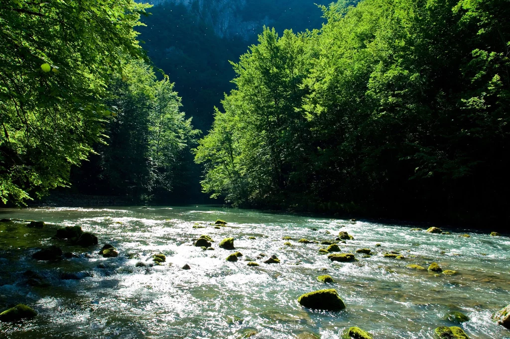 Park Narodowy Risnjak 