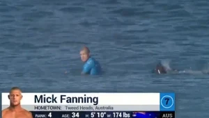 Atak rekina na surfera