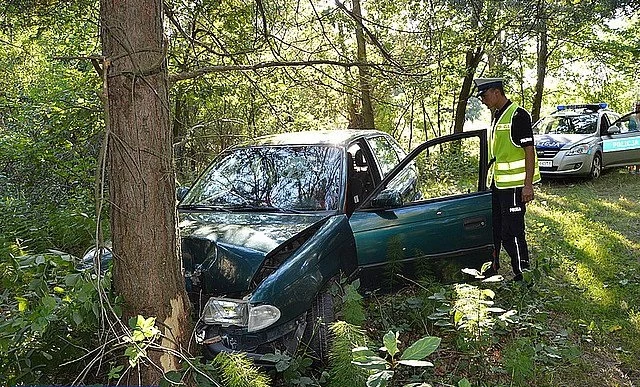 Ucieczka pijanego kierowcy zakończyła się na drzewie