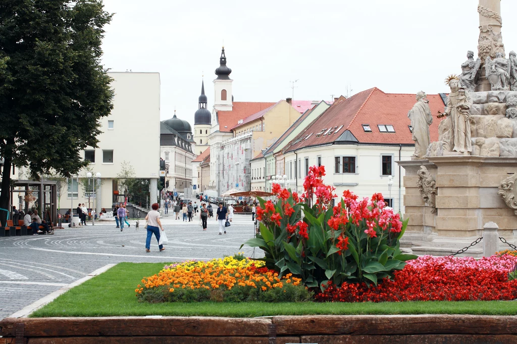 Trnava na Słowacji