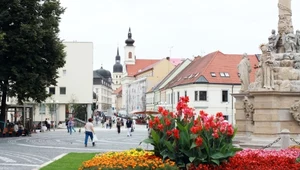 Perły Małych Karpat. Centrum słowackiego winiarstwa 