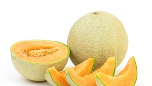 Melon, pizza i kefir na upalne dni