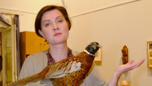 Kotulanka sprzedaje meble!