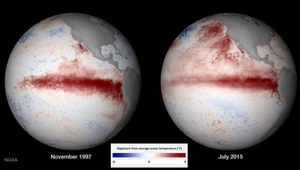 Porównanie zasięgu zjawiska El Nino w 1997 i 2015 roku