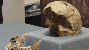 Odnaleziono szczątki najstarszych kolonistów