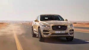 Jaguar F-Pace testowany w ekstremalnych warunkach