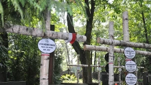Kwatera powstańców warszawskich na cmentarzu Powązkowskim