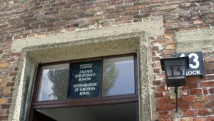 2 sierpnia przypada 71. rocznica likwidacji rodzinnego obozu cygańskiego - "Zigeunerlager"