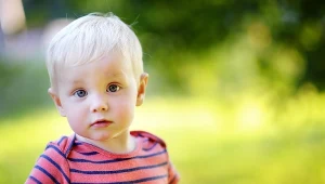 Zdjęcie ilustracyjne