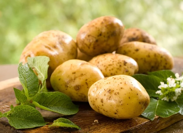 Polacy kochają ziemniaki pod każdą postacią