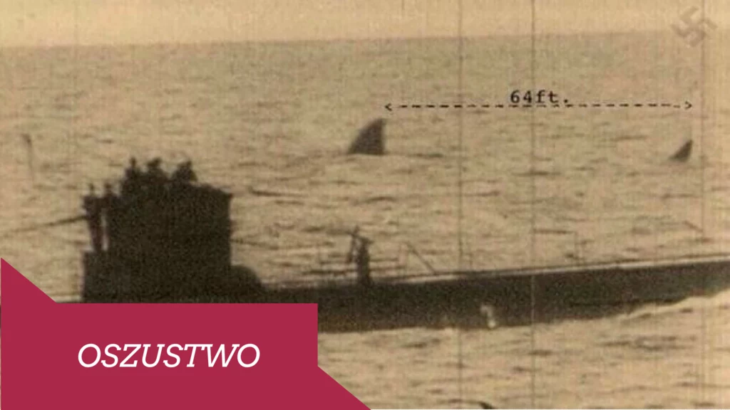 Megalodon obok nazistowskich okrętów podwodnych? To nie może być prawda!