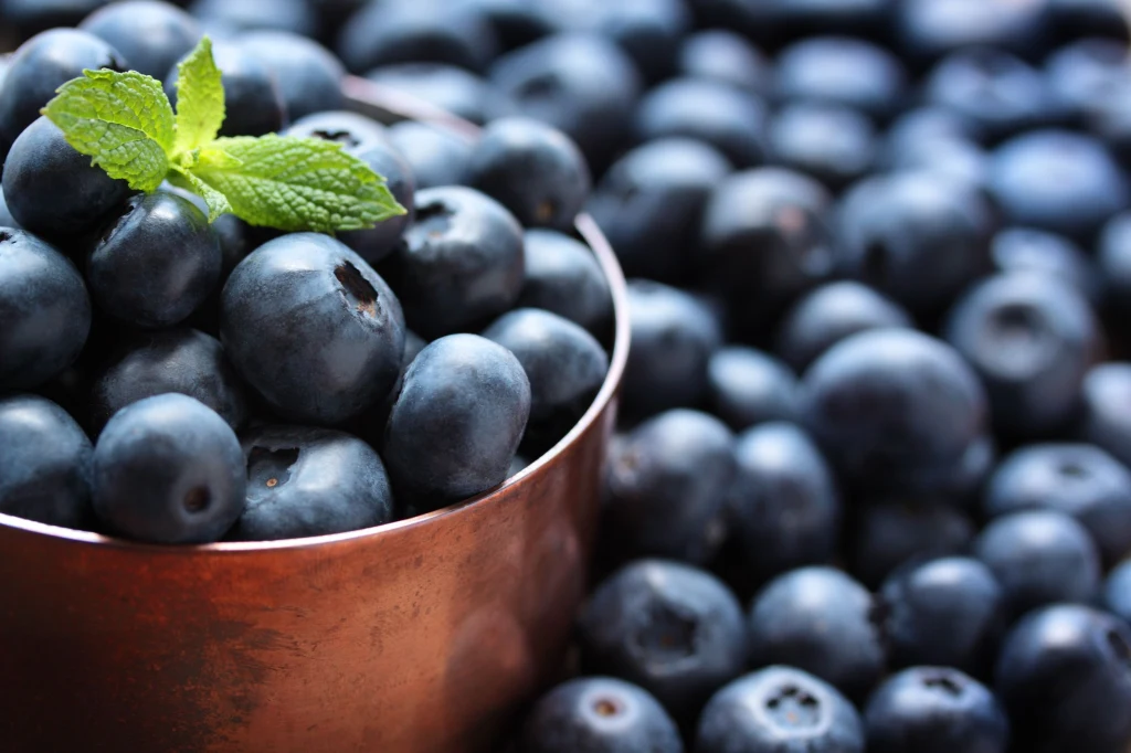 Jagody, jeżyny czy maliny rosnące dziko zachowują najwięcej walorów odżywczych Jagody, jeżyny czy maliny rosnące dziko zachowują najwięcej walorów odżywczych