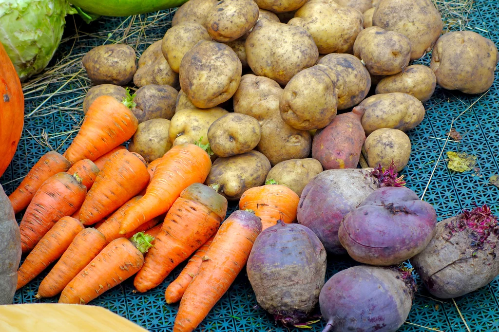 Najlepiej kupuj warzywa z ekologicznych hodowli 