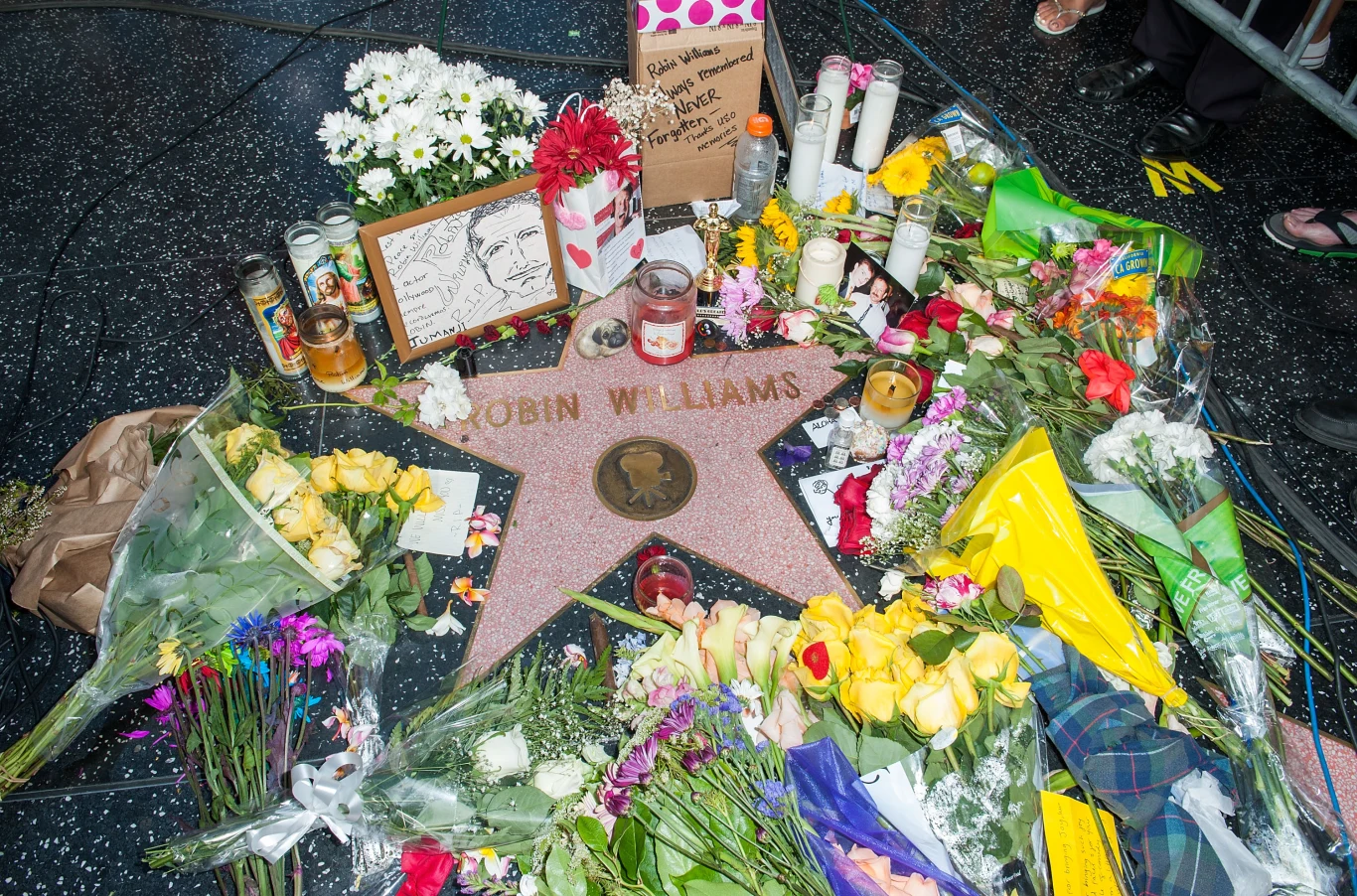 Kameralny pogrzeb Robina Williamsa z udziałem najbliższej rodziny odbył się parę dni po śmierci artysty - 17 sierpnia, w San Francisco. Hollywoodzkiego gwiazdora pożegnano podczas skromnej uroczystości w Glide Memorial Church.

Wbrew zapowiedziom radykalnego amerykańskiego Kościoła Baptystycznego Westboro, ceremonia przebiegła bez zakłóceń. Powodem protestu miał być m.in. fakt, że aktor zagrał geja w komedii "Klatka dla ptaków".

Kościół Baptystyczny Westboro kilka dni przed pogrzebem publikował wpisy i karykatury poświęcone Williamsowi. Piszano, że aktor trafił po śmierci do piekła nie tylko ze względu na poparcie dla homoseksualistów, ale też rozwody i życie w "bestii zwanej Hollywood". 