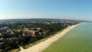 Sinice zaatakowały trójmiejskie plaże