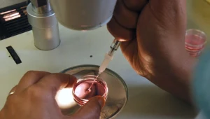 Zdjęcie ilustracyjne