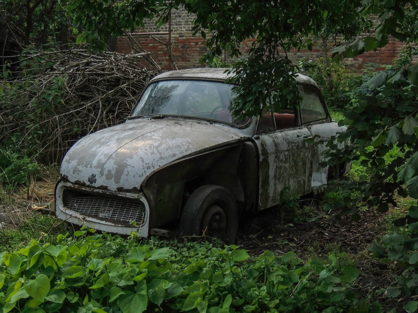 Porzucona Syrenka Porzucona Syrenka