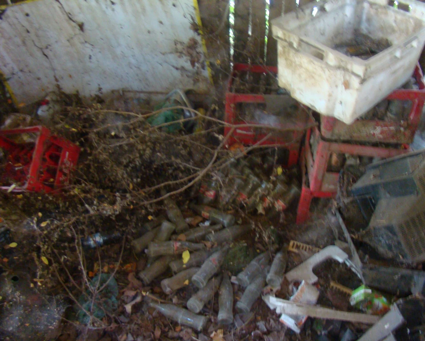 Przydomowa szopa to dziś śmietnik 