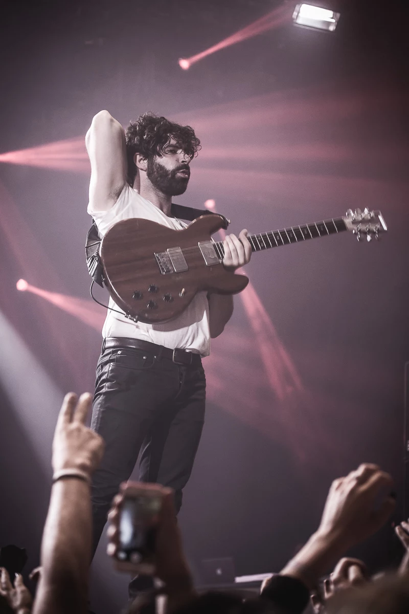 Foals