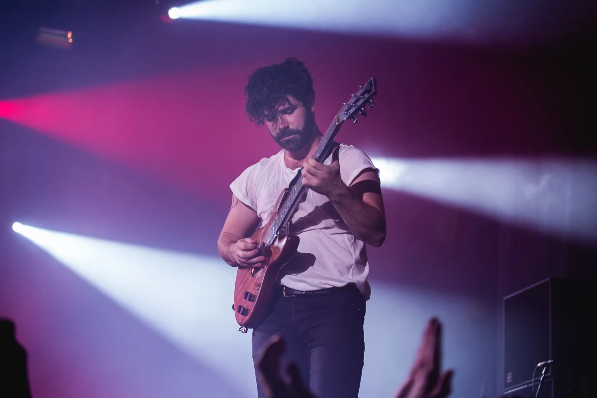 Foals Foals