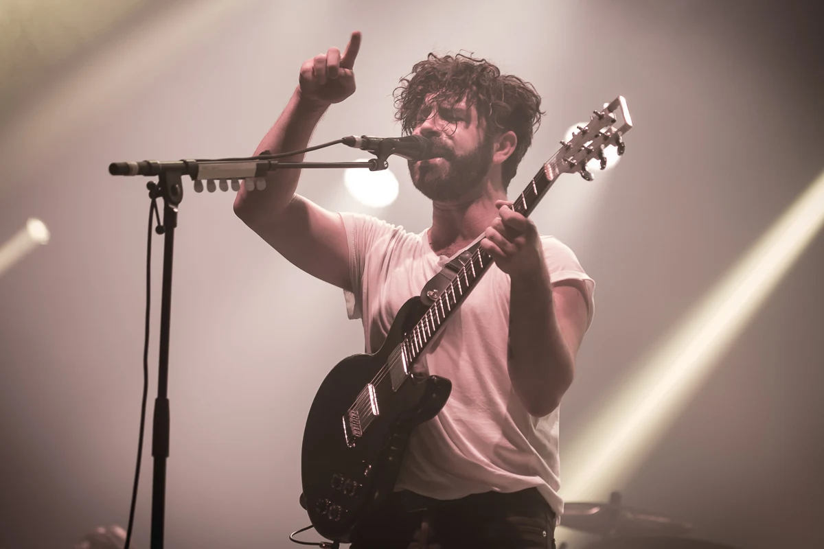 Foals Foals
