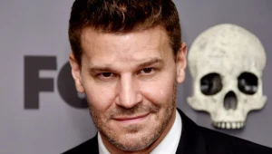 David Boreanaz