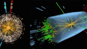 RMF 24: Higgs doprecyzowany