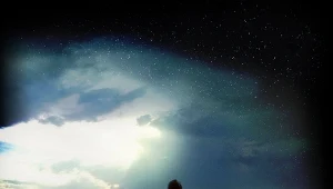 Okładka koncertowej płyty Kruka