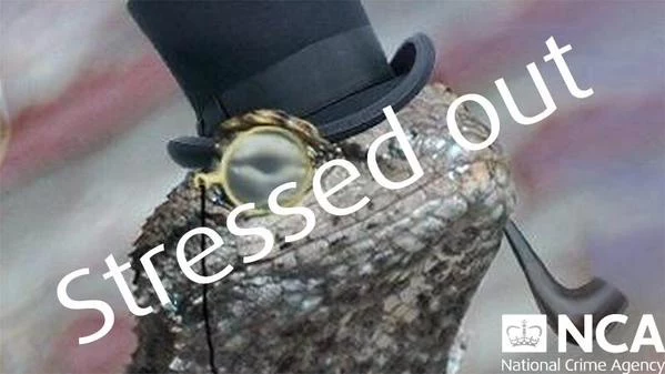 Wiadomość od hakerów z Lizard Squad