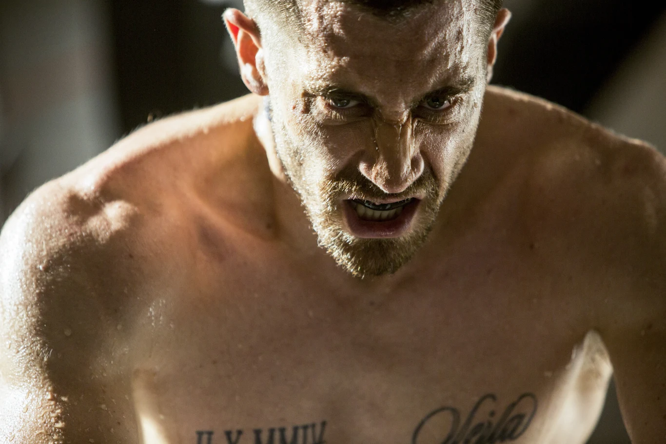 Jake Gyllenhaal stworzył w "Do utraty sił" "intensywną, wiarygodną rolę" Jake Gyllenhaal stworzył w "Do utraty sił" "intensywną, wiarygodną rolę"