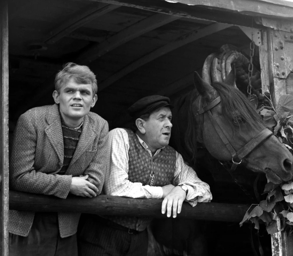 Jerzy Janeczek, Wacław Kowalski - "Sami swoi"