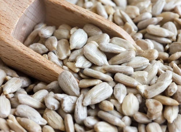 Słonecznik to prawdziwa skarbnica wapnia