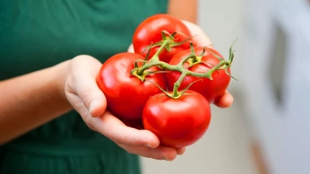 Co dodawać do pomidorów?